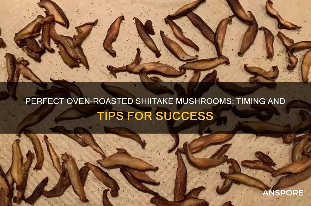 how long to cook shiitake mushroom in oven