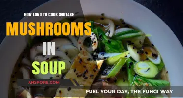 Perfect Shiitake Soup: Optimal Cooking Time for Mushrooms Revealed