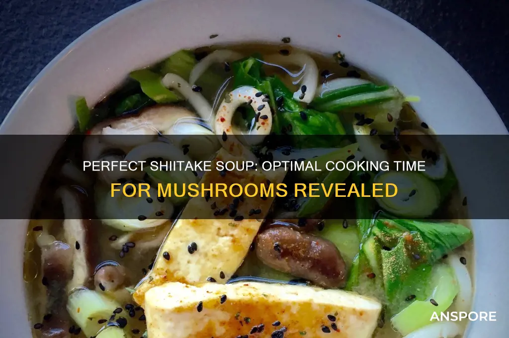 how long to cook shiitake mushrooms in soup