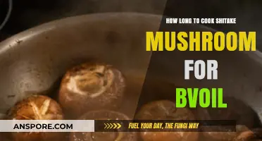 Perfectly Boiled Shiitake Mushrooms: Timing Tips for Ideal Texture