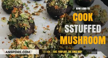 Perfectly Cooked Stuffed Mushrooms: Timing Tips for Delicious Results