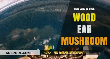 Perfectly Cooked Wood Ear Mushrooms: Timing Tips for Ideal Texture