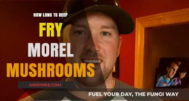 Perfectly Crispy Morel Mushrooms: Deep Frying Time and Tips
