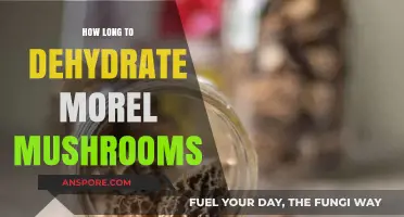 Dehydrating Morel Mushrooms: Optimal Time for Perfect Preservation