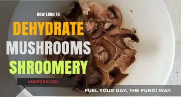 Dehydrating Mushrooms: Optimal Time Guide for Shroomery Enthusiasts