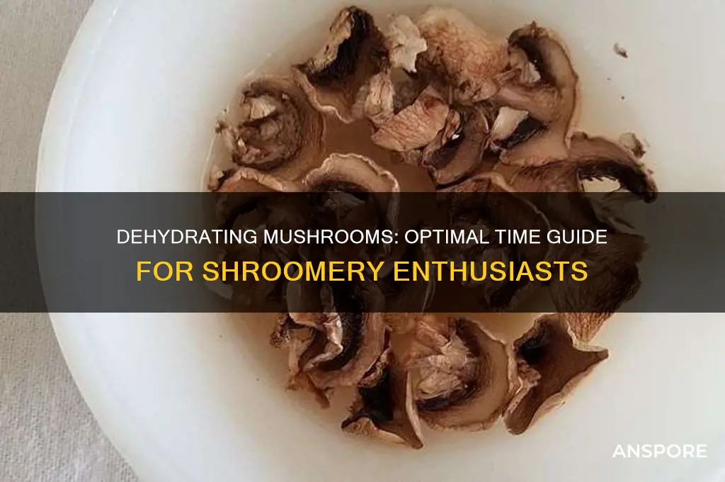 how long to dehydrate mushrooms shroomery
