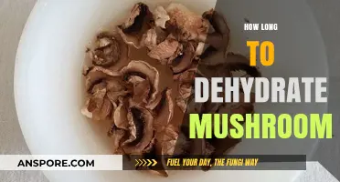 Dehydrating Mushrooms: Optimal Time for Perfect Preservation and Flavor