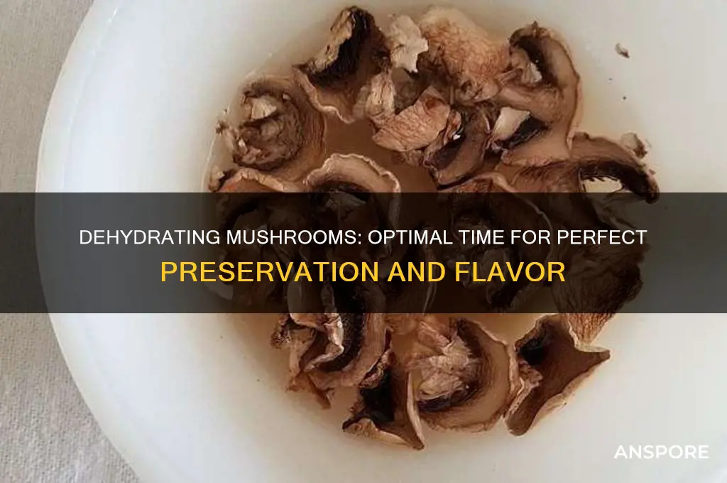 how long to dehydrate mushrooms