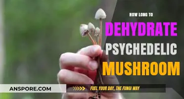 Dehydrating Psychedelic Mushrooms: Optimal Time for Preservation and Potency