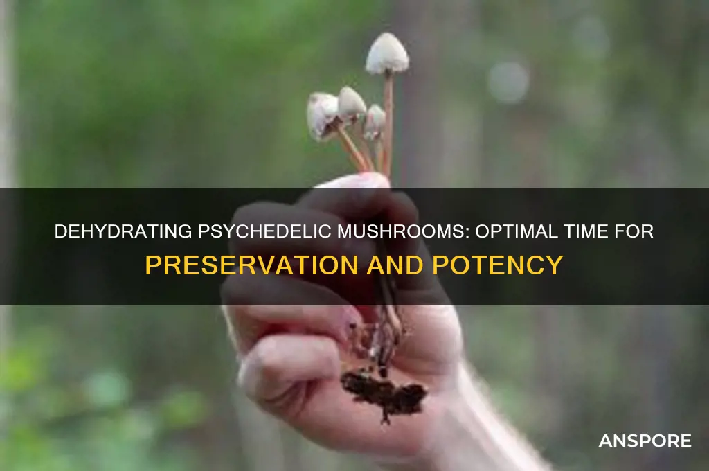 how long to dehydrate psychedelic mushrooms