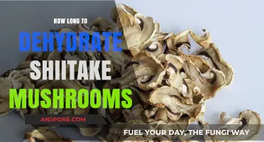 Perfectly Dehydrated Shiitake Mushrooms: Timing and Techniques for Optimal Results