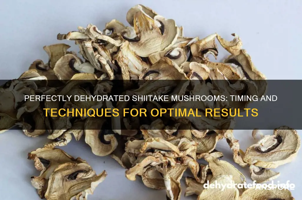 how long to dehydrate shiitake mushrooms
