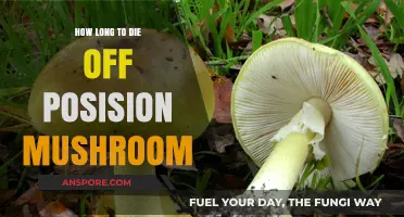 Deadly Poisonous Mushrooms: Understanding Their Lethal Lifespan and Risks