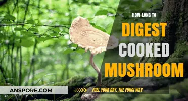 Cooked Mushrooms Digestion Time: Understanding Your Body's Process