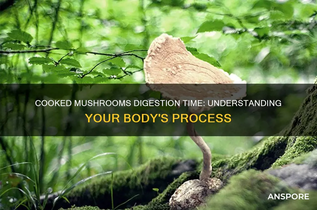 how long to digest cooked mushrooms
