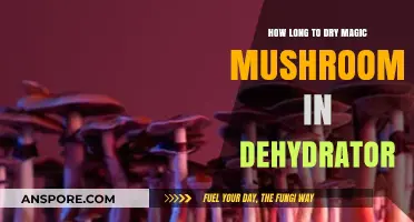 Dehydrating Magic Mushrooms: Optimal Drying Time in a Dehydrator