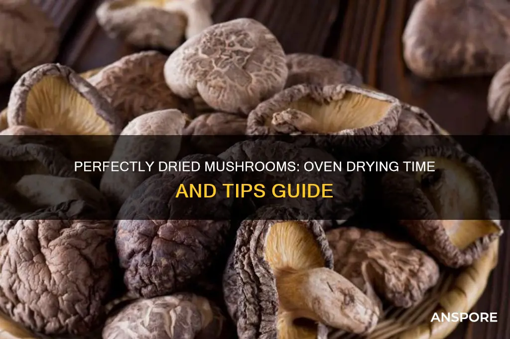how long to dry mushrooms in oven