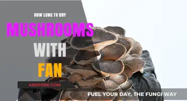 Quickly Dry Mushrooms with a Fan: Optimal Time Guide