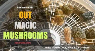 Drying Magic Mushrooms: Optimal Time and Techniques for Perfect Preservation