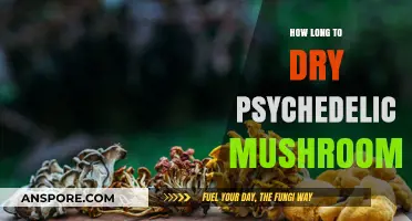 Drying Psychedelic Mushrooms: Optimal Time and Techniques for Preservation