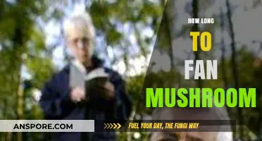 Perfectly Fanning Mushrooms: Timing Tips for Optimal Flavor and Texture
