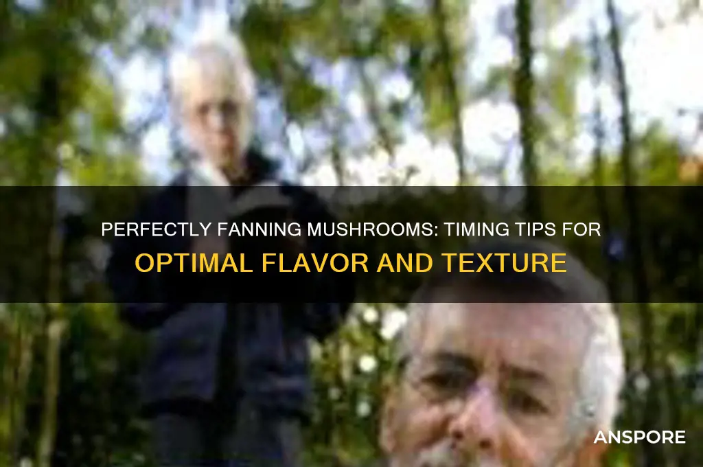how long to fan mushrooms