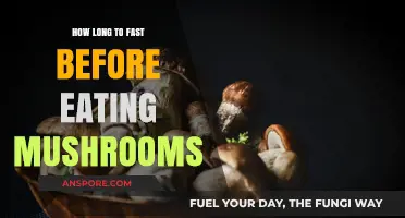 Fasting Before Mushroom Consumption: Optimal Timing for Safe Enjoyment