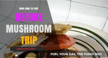 Fasting for a Mushroom Trip: Optimal Timing and Preparation Tips