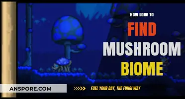 Finding Mushroom Biomes: Timeframe and Tips for Efficient Exploration