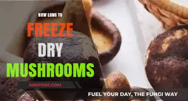 Freeze Drying Mushrooms: Optimal Time for Perfect Preservation Explained