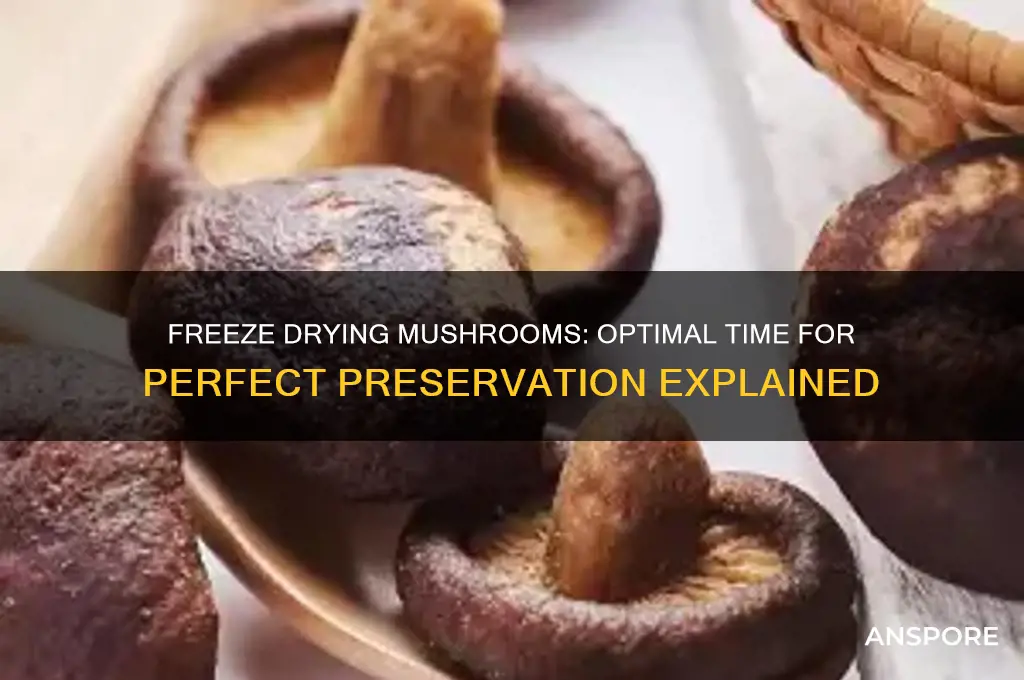 how long to freeze dry mushrooms