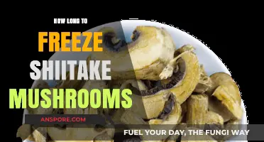 Freezing Shiitake Mushrooms: Optimal Time and Storage Tips