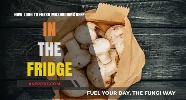 Fresh Mushrooms in the Fridge: Optimal Storage Time and Tips