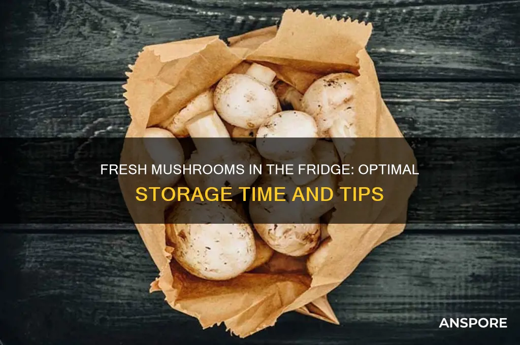 how long to fresh mushrooms keep in the fridge
