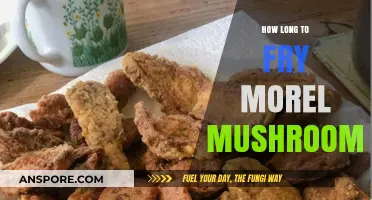 Perfectly Crispy Morel Mushrooms: Mastering Fry Times and Techniques