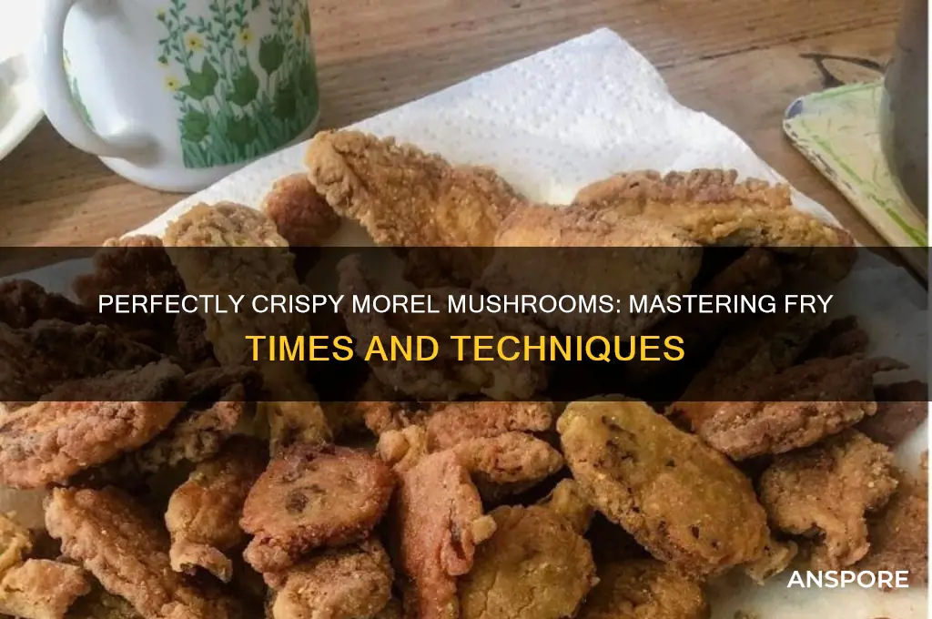 how long to fry morel mushrooms