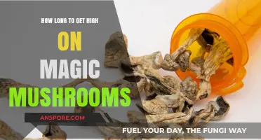 Magic Mushrooms: Understanding the Onset Time for a Psychedelic High