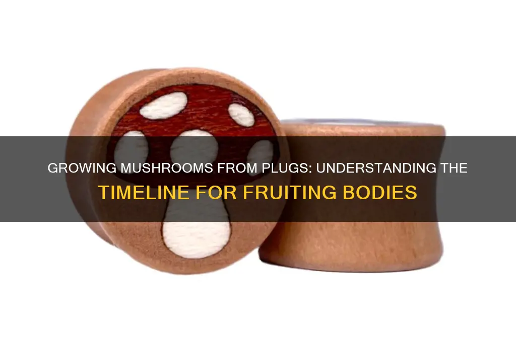 how long to get mushrooms from plugs