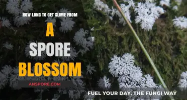Growing Slime from Spore Blossoms: Timeframe and Tips for Success