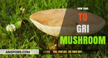 Growing Gourmet Mushrooms: Understanding the Ideal Time for Harvesting