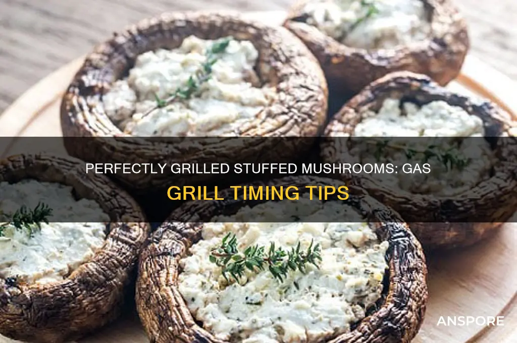 how long to grill stuffed mushrooms on gas grill