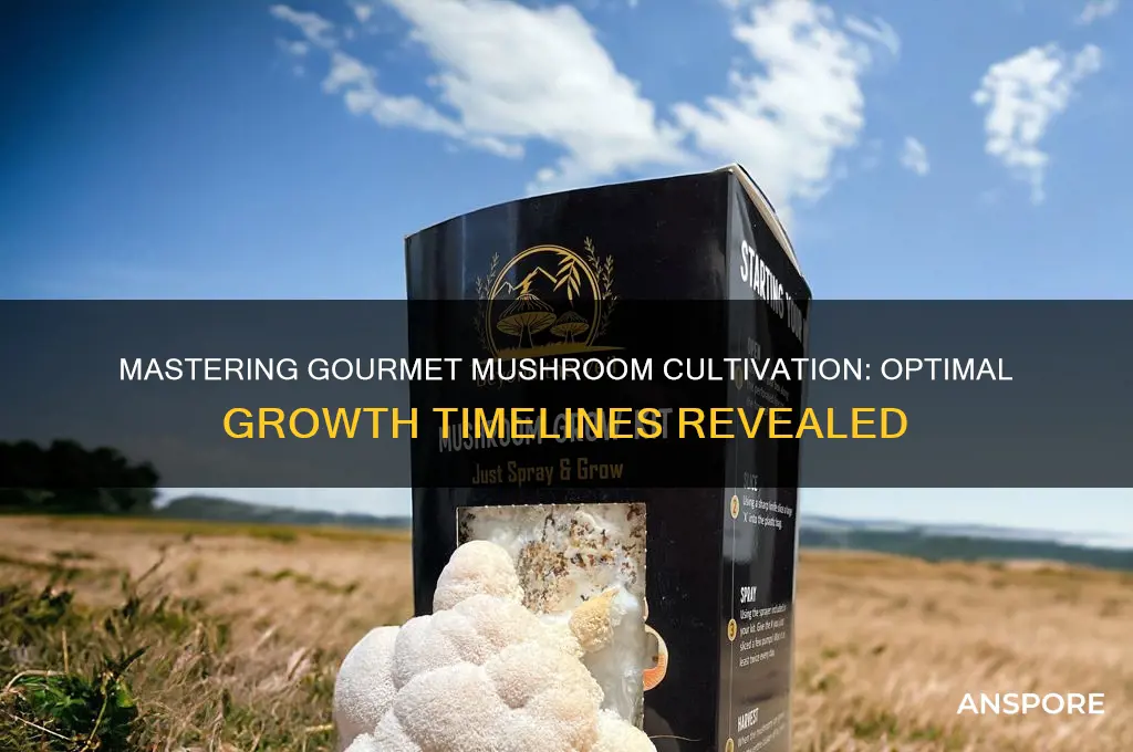 how long to grow gourmet mushrooms