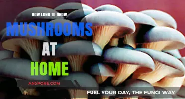 Mastering Mushroom Cultivation: Optimal Time for Home-Grown Harvests