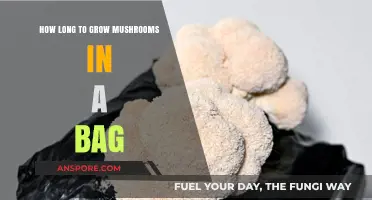 Growing Mushrooms in a Bag: Timeframe and Tips for Success