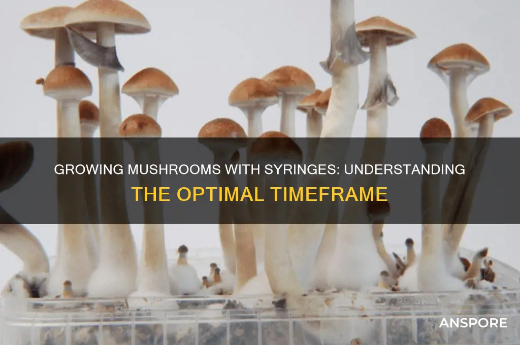 how long to grow mushrooms syringes