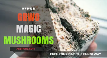 Growing Magic Mushrooms: Understanding the Optimal Timeframe for Cultivation