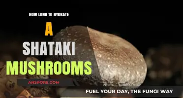 Perfectly Hydrating Shaitake Mushrooms: Timing Tips for Optimal Texture