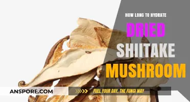 Hydrating Dried Shiitake Mushrooms: Perfect Timing for Optimal Flavor