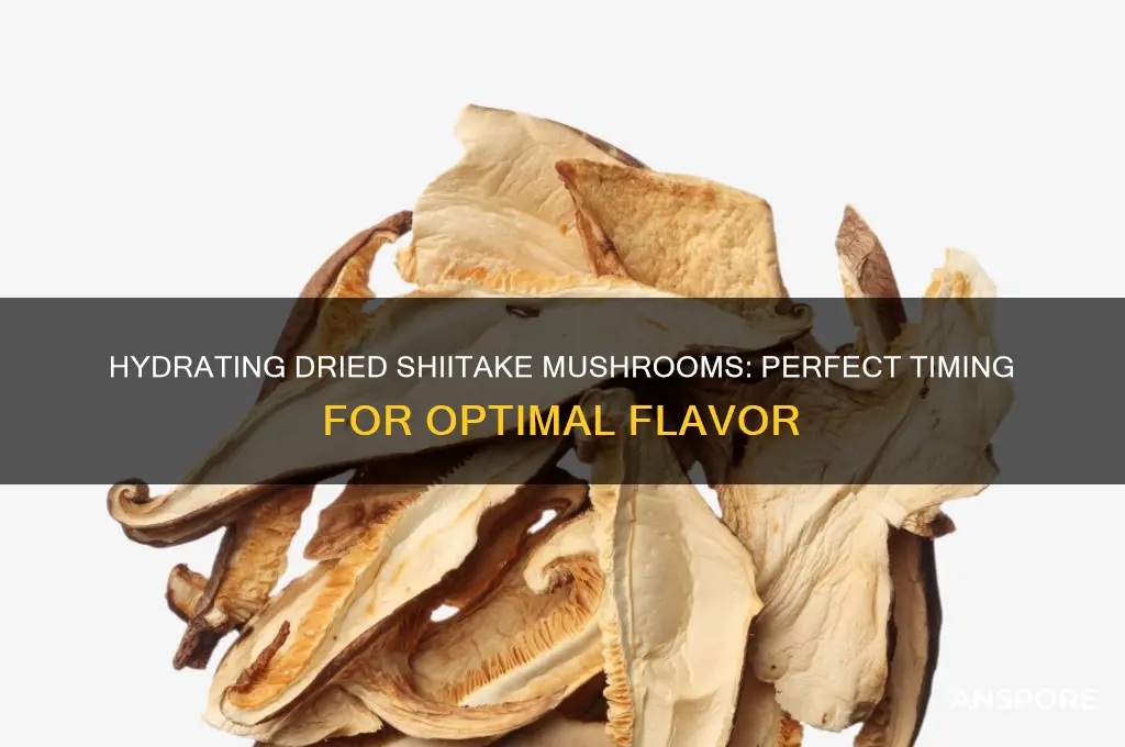 how long to hydrate dried shiitake mushrooms