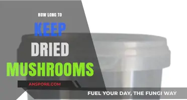 Proper Storage Tips: How Long to Keep Dried Mushrooms Fresh